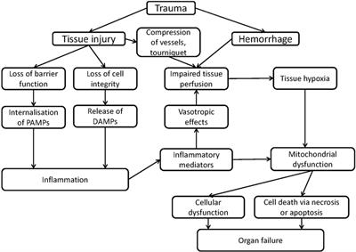 Pathological Impact of the Interaction of NO and CO with Mitochondria in Critical Care Diseases